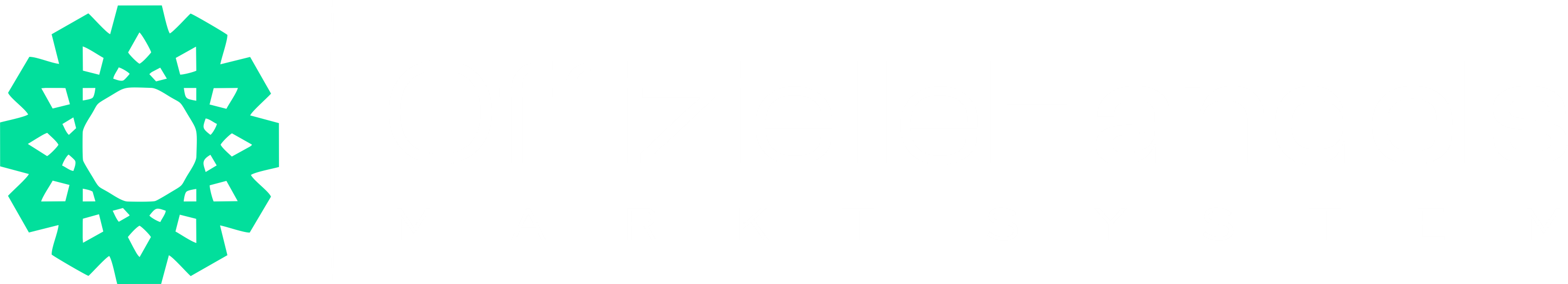 OffizielleHandelsMarktSystem


